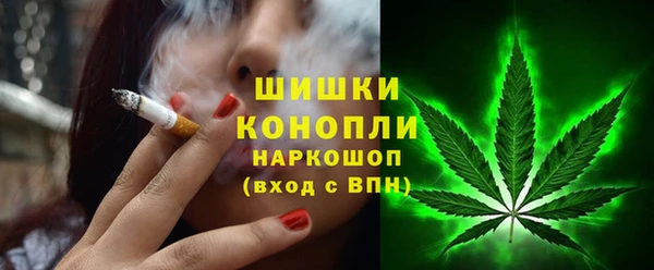 ECSTASY Богородицк